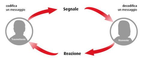 Un'immagine dei contenuti del corso